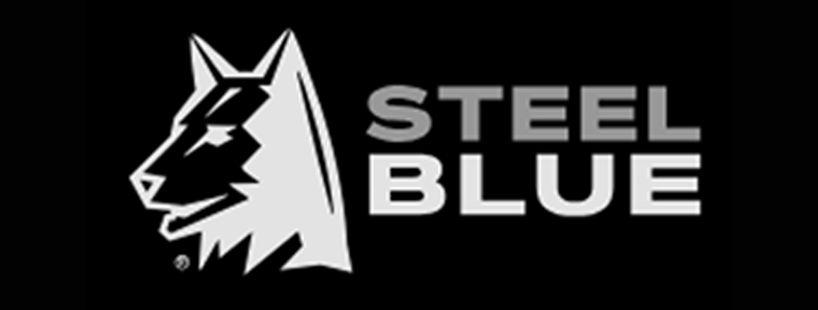 Blue Steel Brand Logo